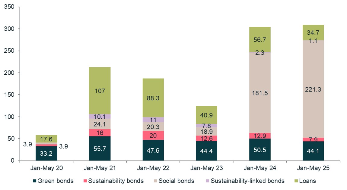 Sustainable debt issuance – United States