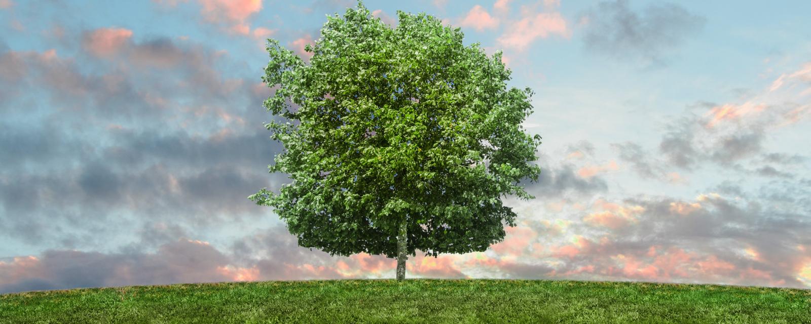 Changement climatique : comment impacte-t-il les banques ?
