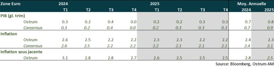 zone euro 2024-2025