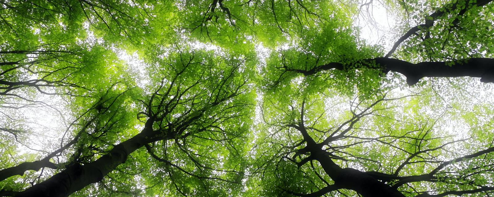 Fostering a just transition with an investment strategy combining climate and social impact