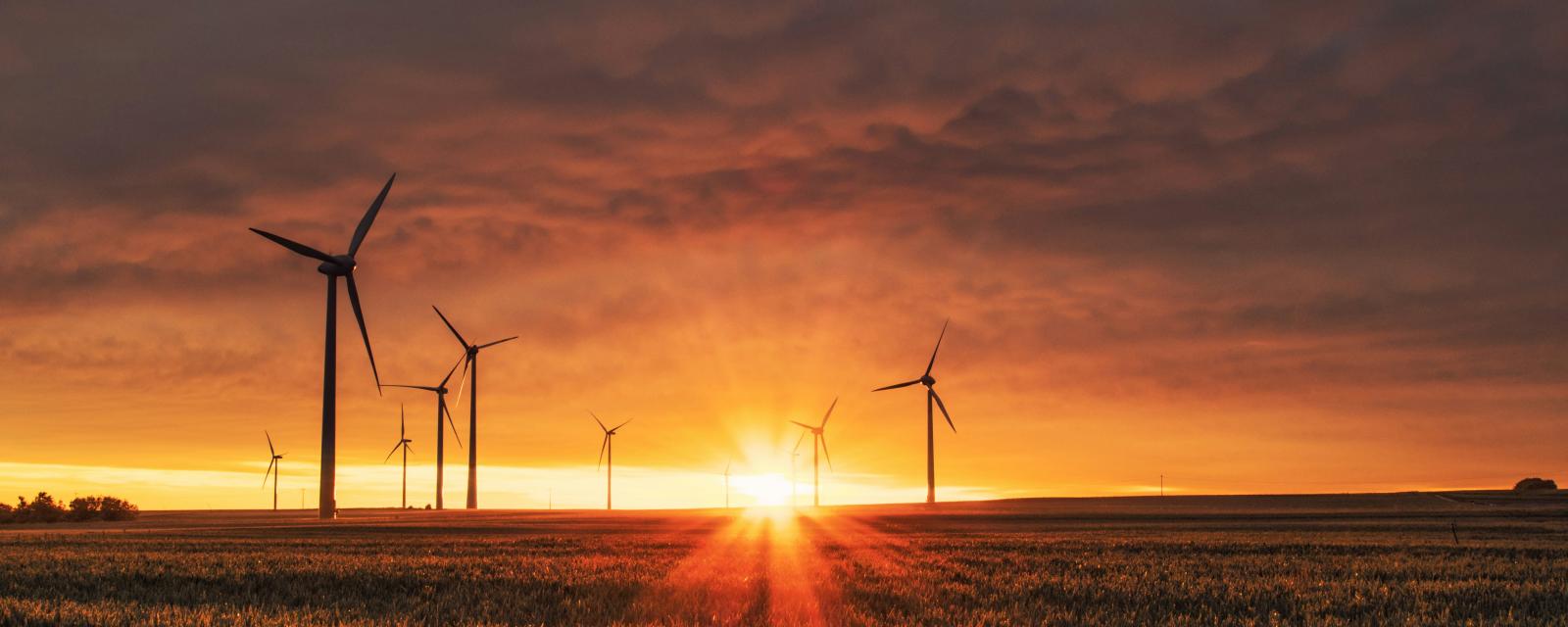 MySustainableCorner – mars 2024