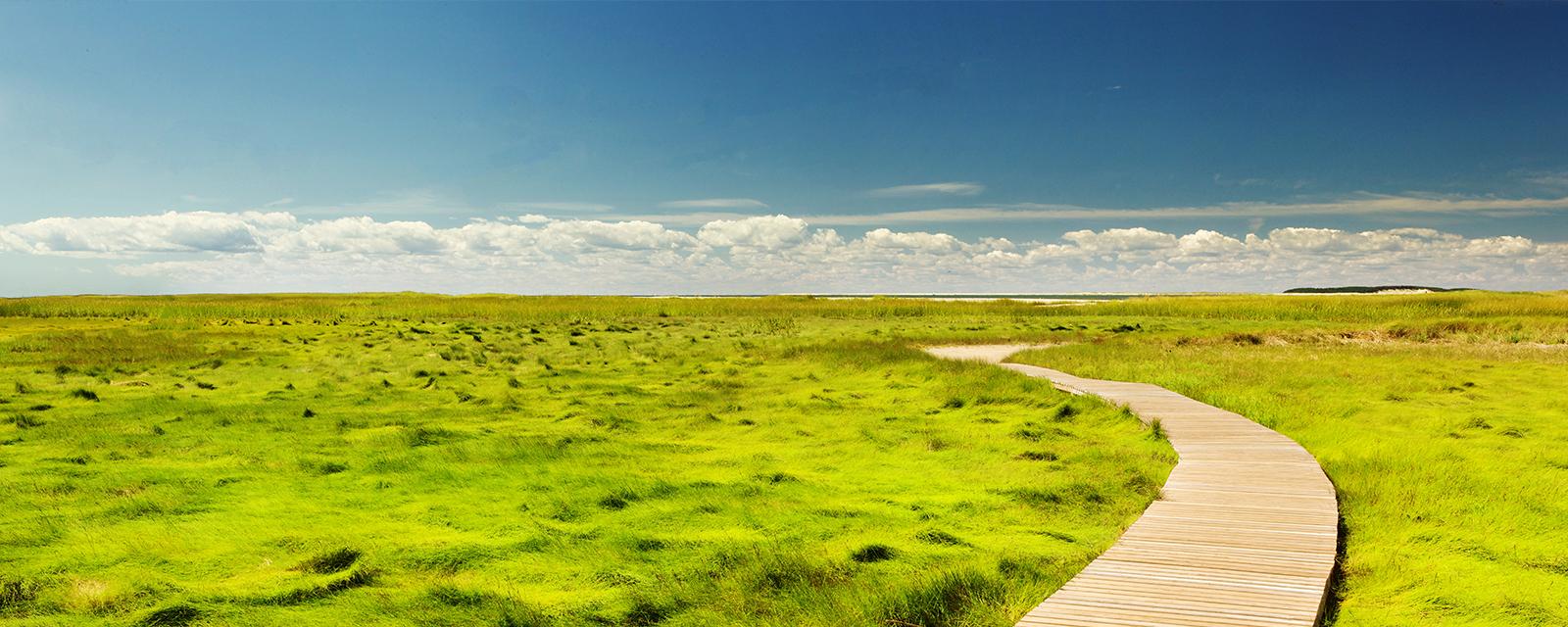 MySustainableCorner – May 2025